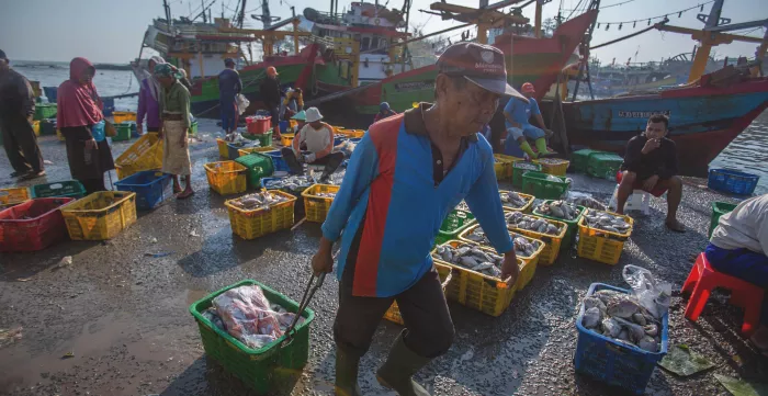 Working in Batang fishing port, Indonesia