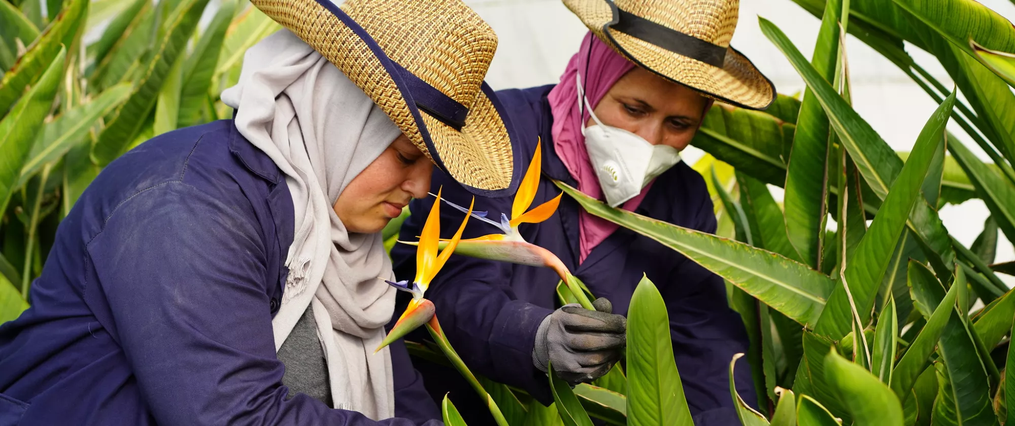 Two women attending to flowers in Jordan