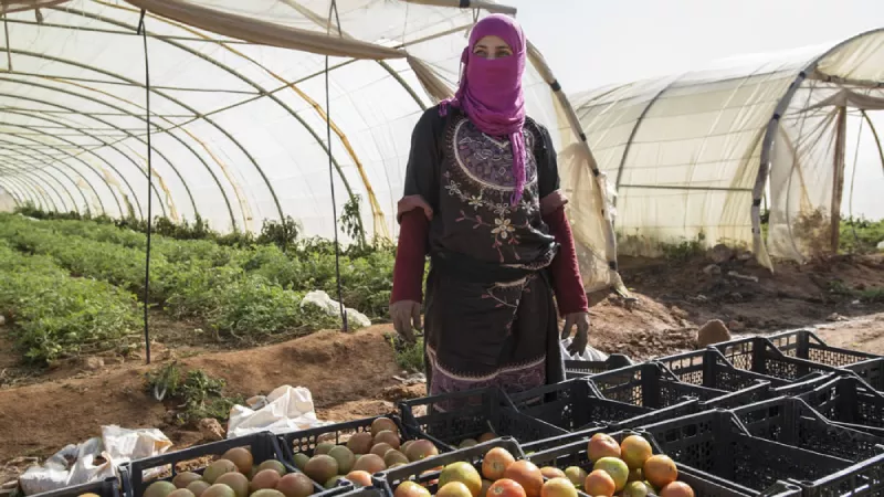 Fruit farm Jordan