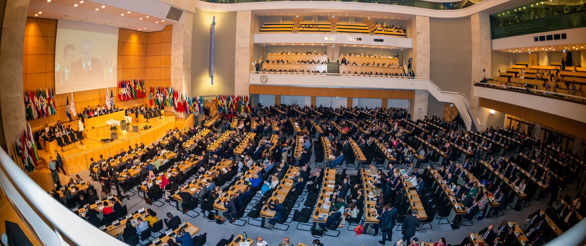 ILC plenary in assembly hall