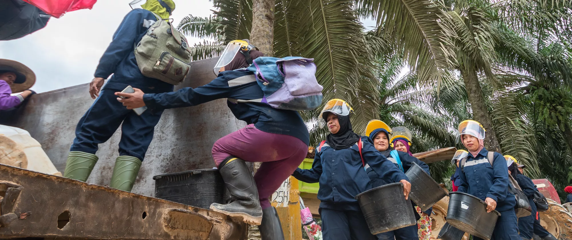 Indonesian female workers of palm oil plantation ready for work