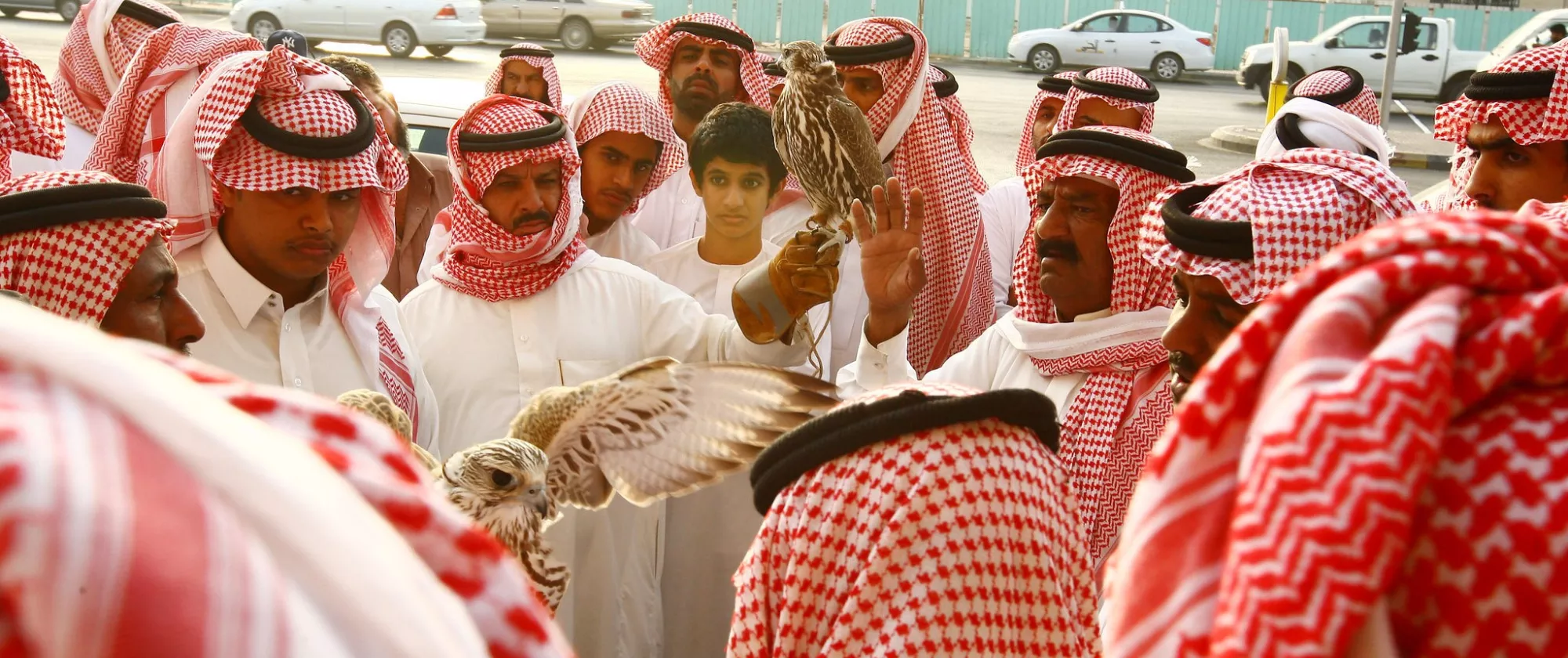 A group of men in a market displaying falcons for sale.