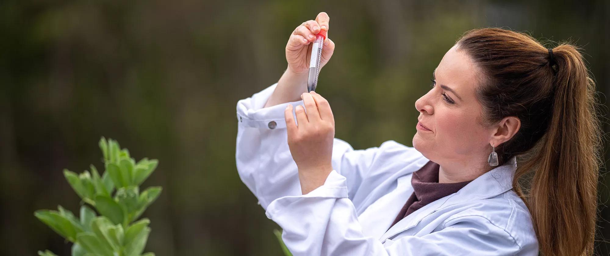 Female farmer scientist researching plants and agricultural research in Australia