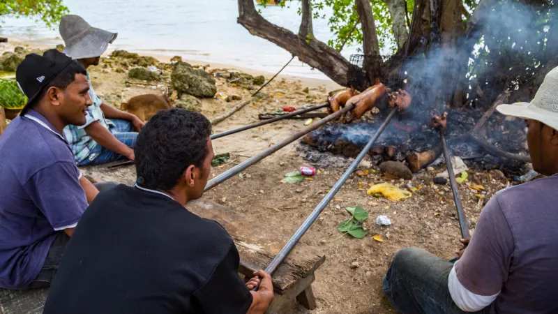 A group of local native indigenous Polynesian men does a pork barbecue on an open fire on a Tongan beach.