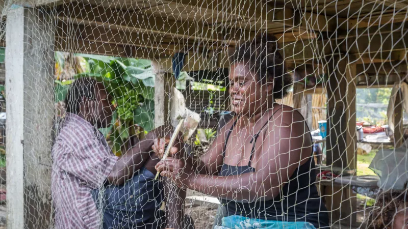 Solomon Islands woman is repairing a fishing net under her house in Chea Village.