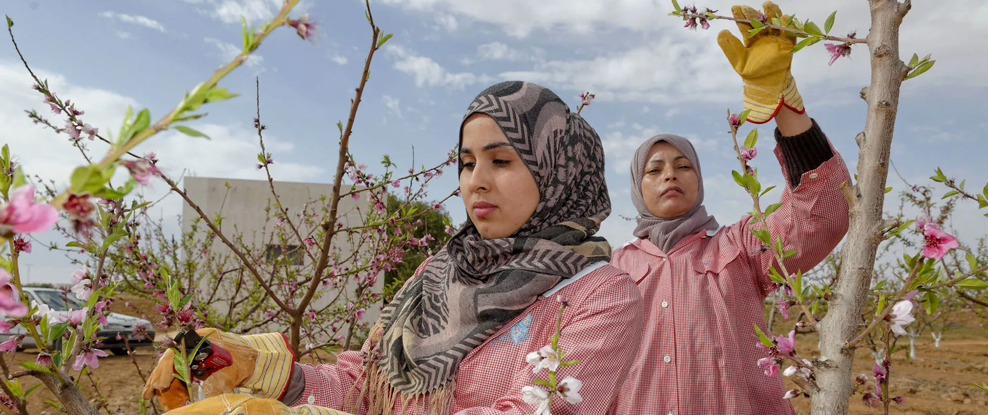 women working in a farm