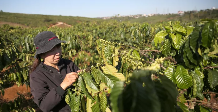 Climate change is having serious impacts on the safety and health of workers. © Nguyễn ViệtThanh/ILO