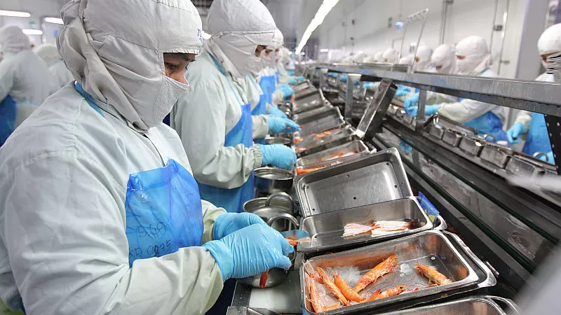 Workers in a seafood factory in Samutprakarn province, Thailand