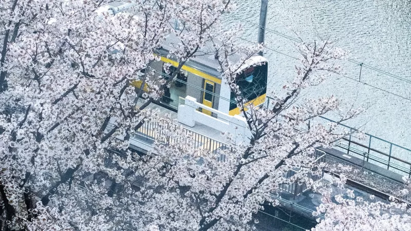 A train in Tokyo